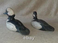 Pair Carved Wooden Hunting Bufflehead Duck Decoys signed R Birch Chincoteague VA