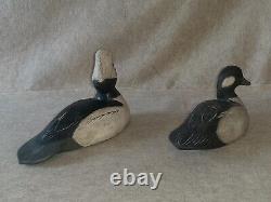 Pair Carved Wooden Hunting Bufflehead Duck Decoys signed R Birch Chincoteague VA