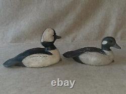 Pair Carved Wooden Hunting Bufflehead Duck Decoys signed R Birch Chincoteague VA