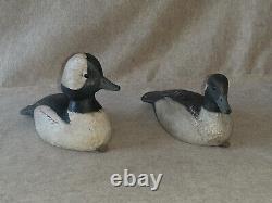 Pair Carved Wooden Hunting Bufflehead Duck Decoys signed R Birch Chincoteague VA