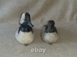 Pair Carved Wooden Hunting Bufflehead Duck Decoys signed R Birch Chincoteague VA