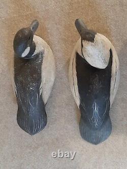 Pair Carved Wooden Hunting Bufflehead Duck Decoys signed R Birch Chincoteague VA