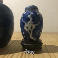 Pair Chinese 19th C Kangxi Blue & White Prunus Jars Kangxi Mark With Stands