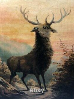 Pair Fine Art Antique Oil Paintings Portrait Deer Stags Scottish Glen Highlands