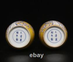 Pair Kangxi Signed Antique Chinese Famille Rose Vase Withbird