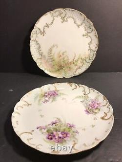 Pair Of Antique Limoges Porcelain Plate/ Hand Painted & Signed / France C. 1895