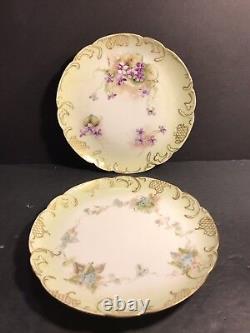 Pair Of Antique Limoges Porcelain Plate/ Hand Painted & Signed / France C. 1895