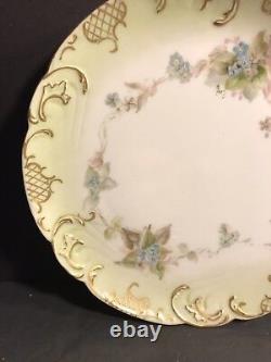 Pair Of Antique Limoges Porcelain Plate/ Hand Painted & Signed / France C. 1895