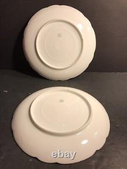 Pair Of Antique Limoges Porcelain Plate/ Hand Painted & Signed / France C. 1895