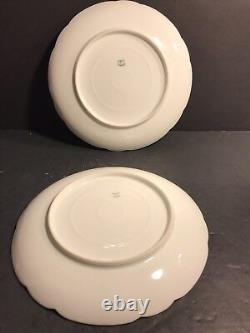 Pair Of Antique Limoges Porcelain Plate/ Hand Painted & Signed / France C. 1895