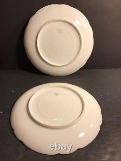 Pair Of Antique Limoges Porcelain Plate/ Hand Painted & Signed / France C. 1895