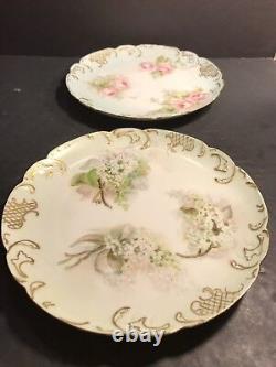 Pair Of Antique Limoges Porcelain Plate/ Hand Painted & Signed / France C. 1895