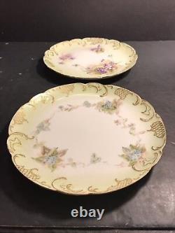 Pair Of Antique Limoges Porcelain Plate/ Hand Painted & Signed / France C. 1895