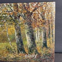 Pair Of Antique Oil Painting/Signed/F. G. Illem/Germany C. 1910/Winter/Summer/Woods