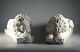 Pair Of Carrara Marble Chatsworth Recumbant Lions