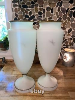 Pair Of Large Victorian Raised Hand-Painted Satin Glass Birds & Floral VASE