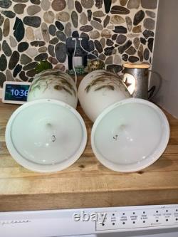 Pair Of Large Victorian Raised Hand-Painted Satin Glass Birds & Floral VASE