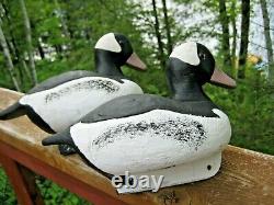 Pair Of Vintage Duck Decoys Bufflehead Drakes Signed Rl Gananoque, Ontario