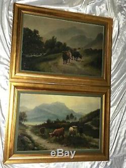 Pair Victorian Oil Paintings 19th Century Scottish Highlands Long Horn Cattle