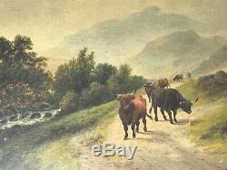 Pair Victorian Oil Paintings 19th Century Scottish Highlands Long Horn Cattle