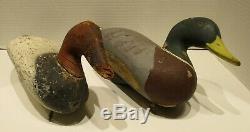 Pair Vintage Wood Duck Decoys Mallard and Signed Canvasback Red Head Paul Gibson