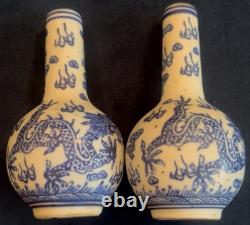 Pair of Small Bottle Shaped Chinese Dragon Vases Signed
