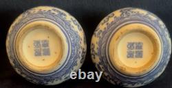 Pair of Small Bottle Shaped Chinese Dragon Vases Signed