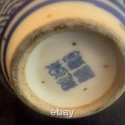 Pair of Small Bottle Shaped Chinese Dragon Vases Signed