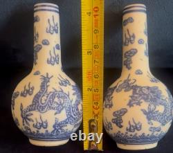 Pair of Small Bottle Shaped Chinese Dragon Vases Signed