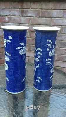 Pair of antique Chinese porcelain Prunas Mei or plum blossom vases