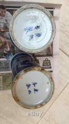 Pair of antique Chinese porcelain Prunas Mei or plum blossom vases