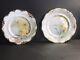 Pair Of Antique Porcelain Plate/limoges/signed/flowers/daffodils/france1900/gold