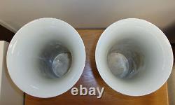 Pair vintage chinese porcelain famille rose vase mark signed flower birds