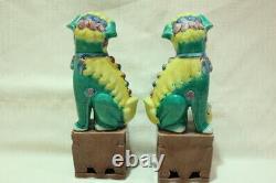 RARE Pair of Dogs Foo 20 cm Eggs and Spinach Chinese Porcelain XX Marked and Num