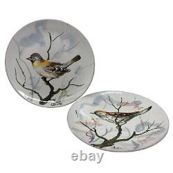 RARE! Pr Antique BHS hand painted bird plates pottery Italy- Artist Signed