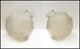 Rene Lalique Glass Nanking Plafonniers Vase Signed Authentic Large Pair Antique