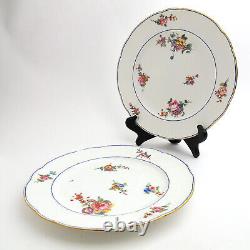 Sevres Antique Porcelain 9 5/8 Pair Dinner Plates Floral Painted Artist Signed