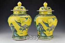 Signed Pair of Chinese Famille Jaune Ginger Jars 19th Century