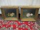 Signed Victorian Rose Oil Painting Pair Gilt Wood Frames 2.5 Deep Lewis 1891