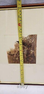 Venice Etchings Of The Carnival Of Venice pair (2) Signed Numbered Italian Print