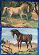Vintage 1960 Horse Paint By Number Pair 10 X 14 Wild Roan Chestnut Pbn Sorrel