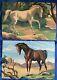 Vintage 1960 Horse Paint By Number Pair 10 X 14 Wild Roan Chestnut Pbn Sorrel