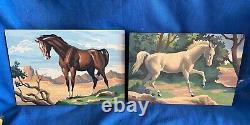 Vintage 1960 Horse Paint by Number Pair 10 x 14 Wild Roan Chestnut PBN Sorrel