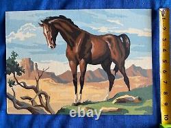 Vintage 1960 Horse Paint by Number Pair 10 x 14 Wild Roan Chestnut PBN Sorrel
