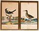 William Goodall Two Bird Watercolor & Ink Works On Paper, C. 1820, Signed, Framed