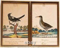 WILLIAM GOODALL Two Bird Watercolor & Ink Works on Paper, c. 1820, Signed, Framed