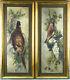 Xl 42.5 Pair Antique Flemish Oil Panel Hunting Trophy Painting Birds Signed
