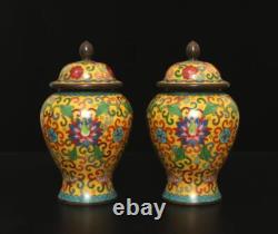 Xuan Signed Pair Old Chinese Bronze Cloisonne Enamel Vase withflower