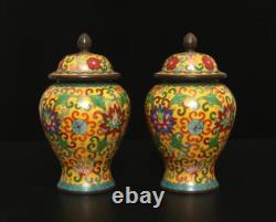 Xuan Signed Pair Old Chinese Bronze Cloisonne Enamel Vase withflower