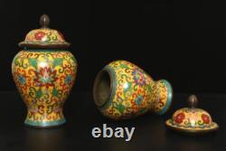 Xuan Signed Pair Old Chinese Bronze Cloisonne Enamel Vase withflower
